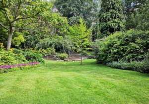Optimiser l'expérience du jardin à Neuviller-lès-Badonviller